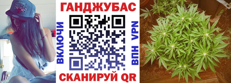 Как найти наркотики Волгореченск ГАШ  Псилоцибиновые грибы  OMG ТОР  Меф  Марихуана  Alpha-PVP 