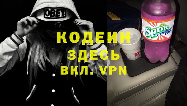 прущие грибы Бородино