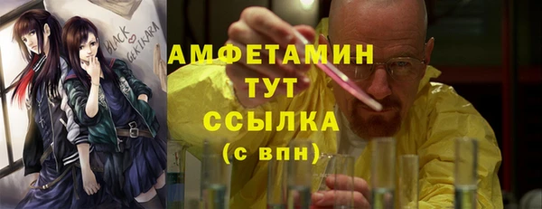 прущие грибы Бородино