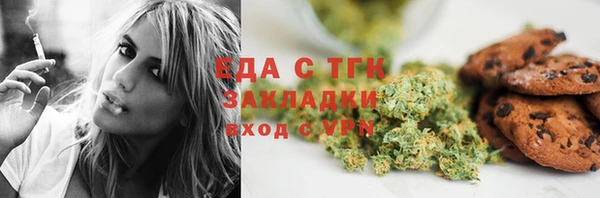прущие грибы Бородино