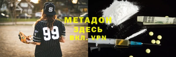 прущие грибы Бородино