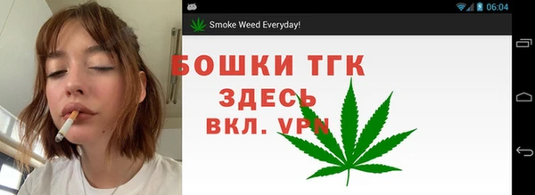 тгк Бронницы