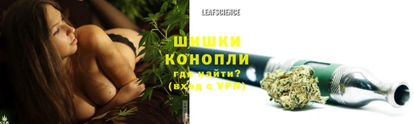 тгк Бронницы