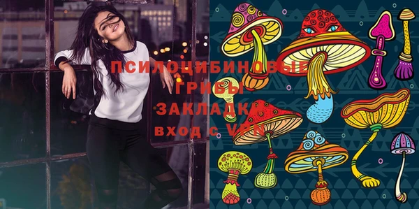 прущие грибы Бородино