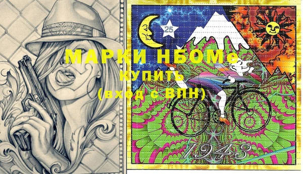 прущие грибы Бородино