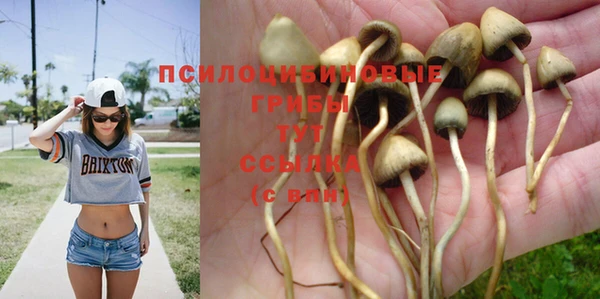 тгк Бронницы