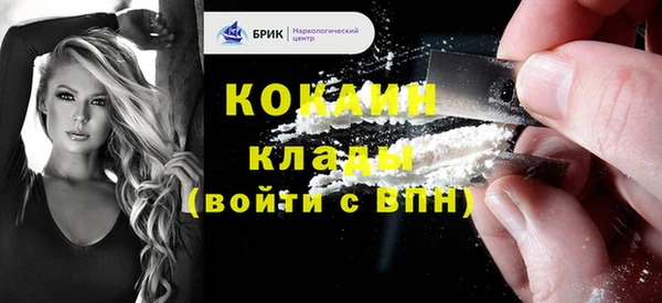 прущие грибы Бородино