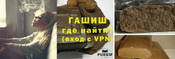 прущие грибы Бородино