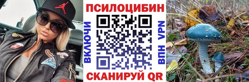 kraken онион  Волгореченск  Псилоцибиновые грибы мухоморы  наркошоп 